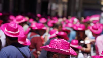 Rosé wine festival in Navarre